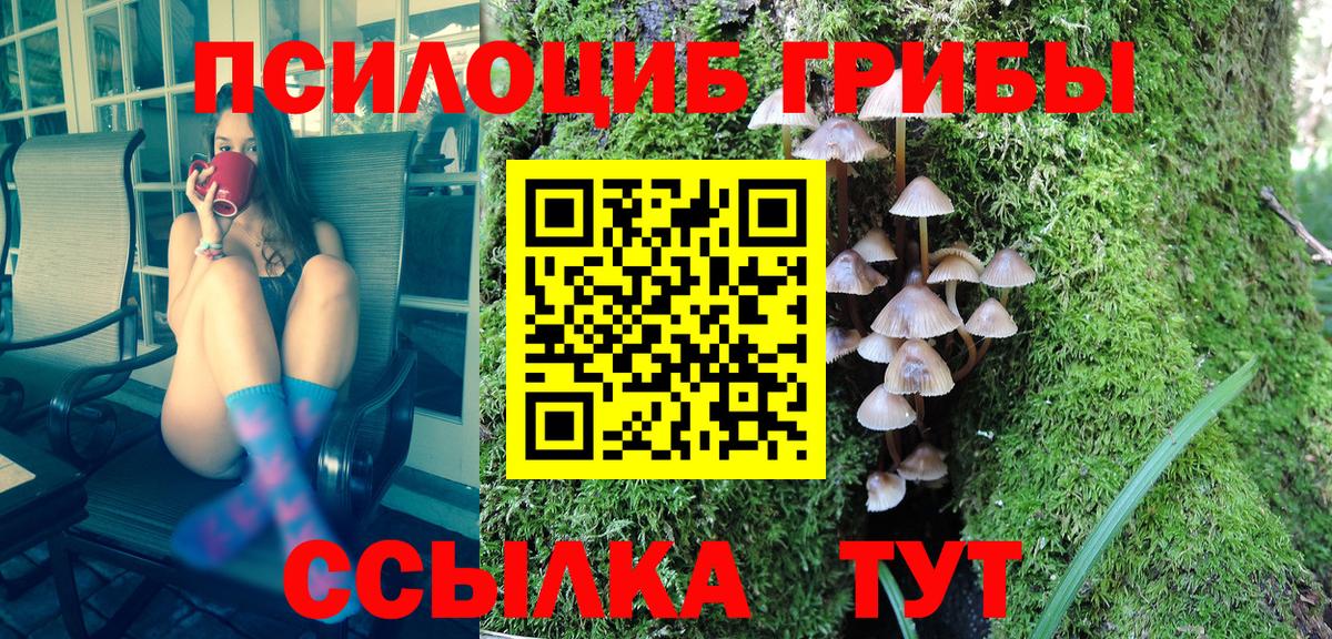 Псилоцибиновые грибы Magic Shrooms  Вход с VPN  Тимашёвск  Галлюциногенные грибы Magic Shrooms 