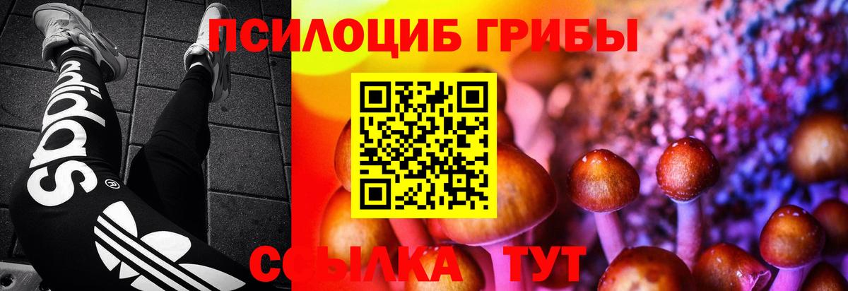 ГАШ  COCAIN  Бошки Шишки  Тимашёвск  Alpha PVP СК   Вход с VPN  МЕФ  